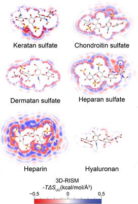 Distribution and Function of Glycosaminoglycans and Proteoglycans in the Development, Homeostasis and Pathology of the Ocular Surface